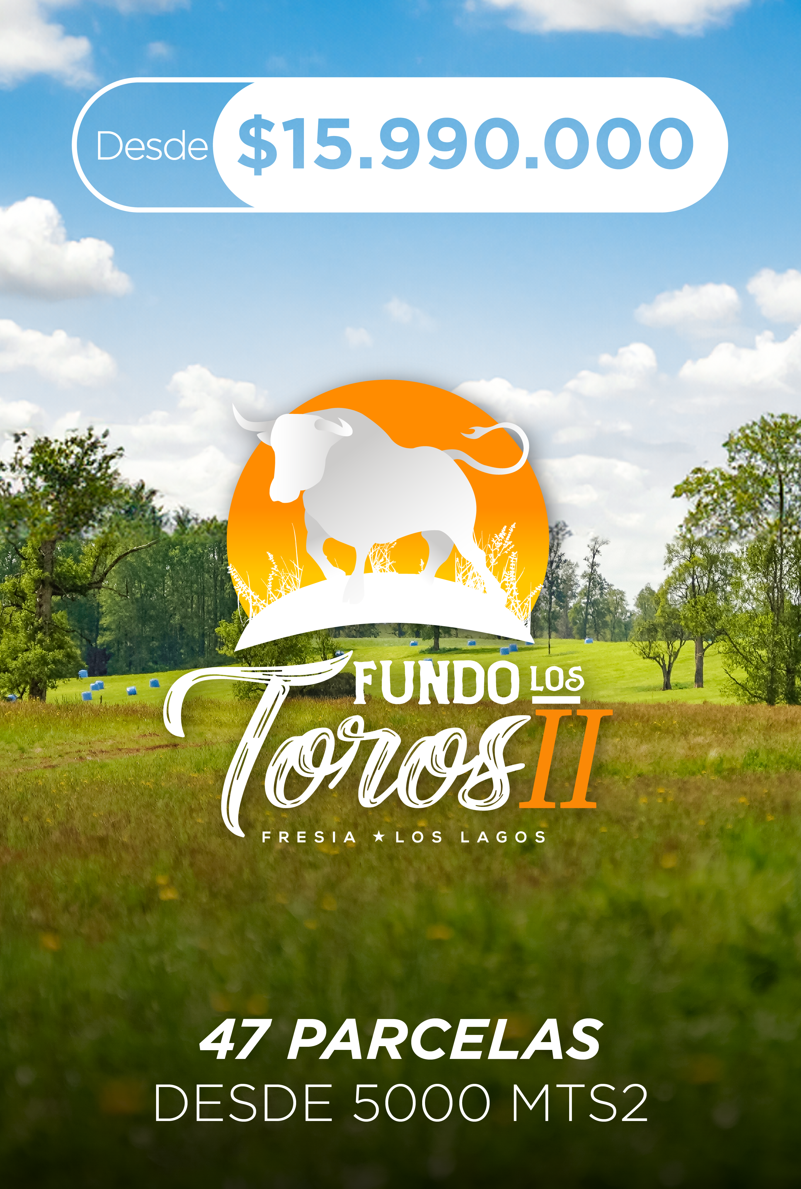 Fundo Los Toros 2