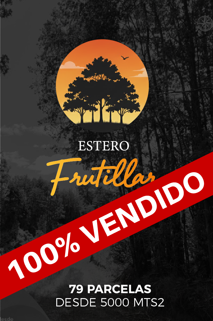 Estero Frutillar