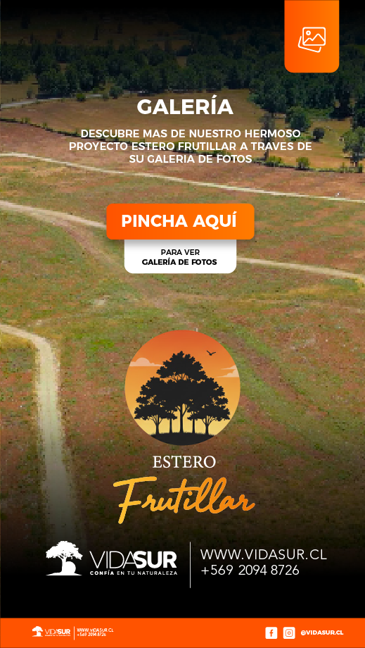 Ver Galería de Fotos