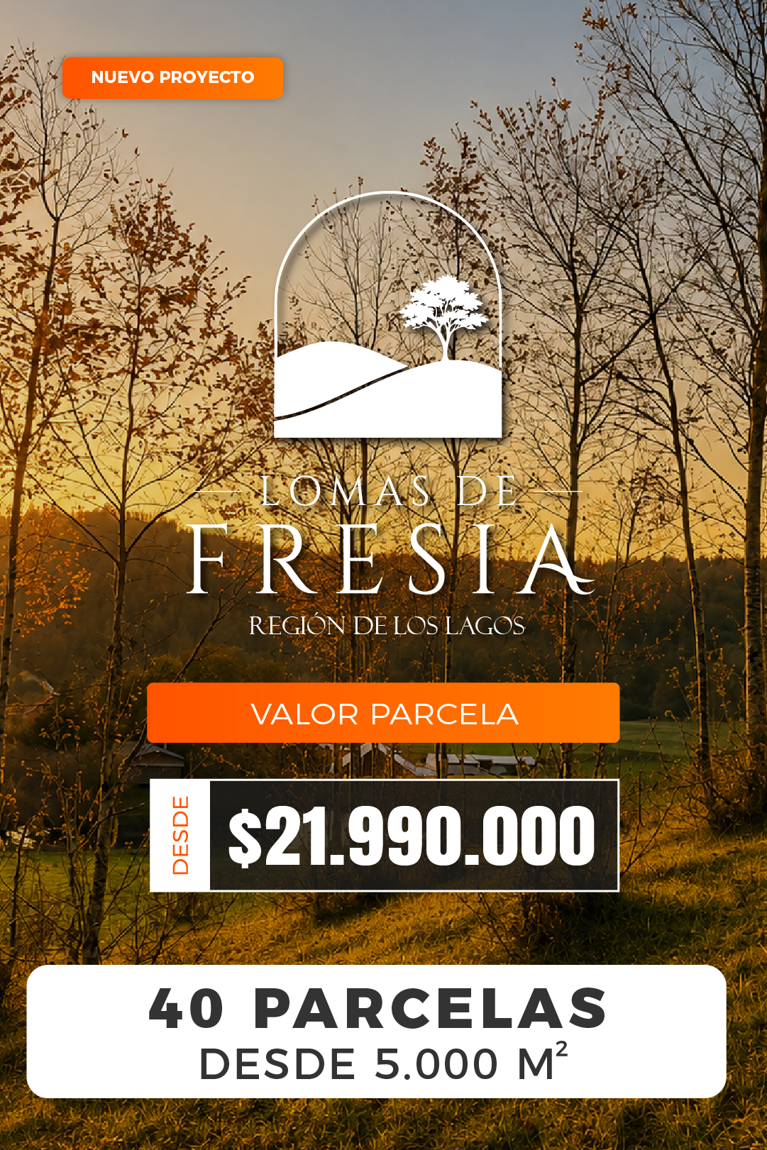 Lomas de Fresia